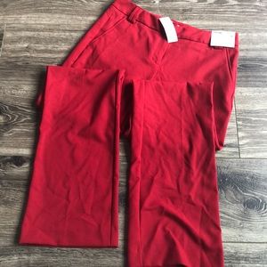 Gorgeous red dress pant